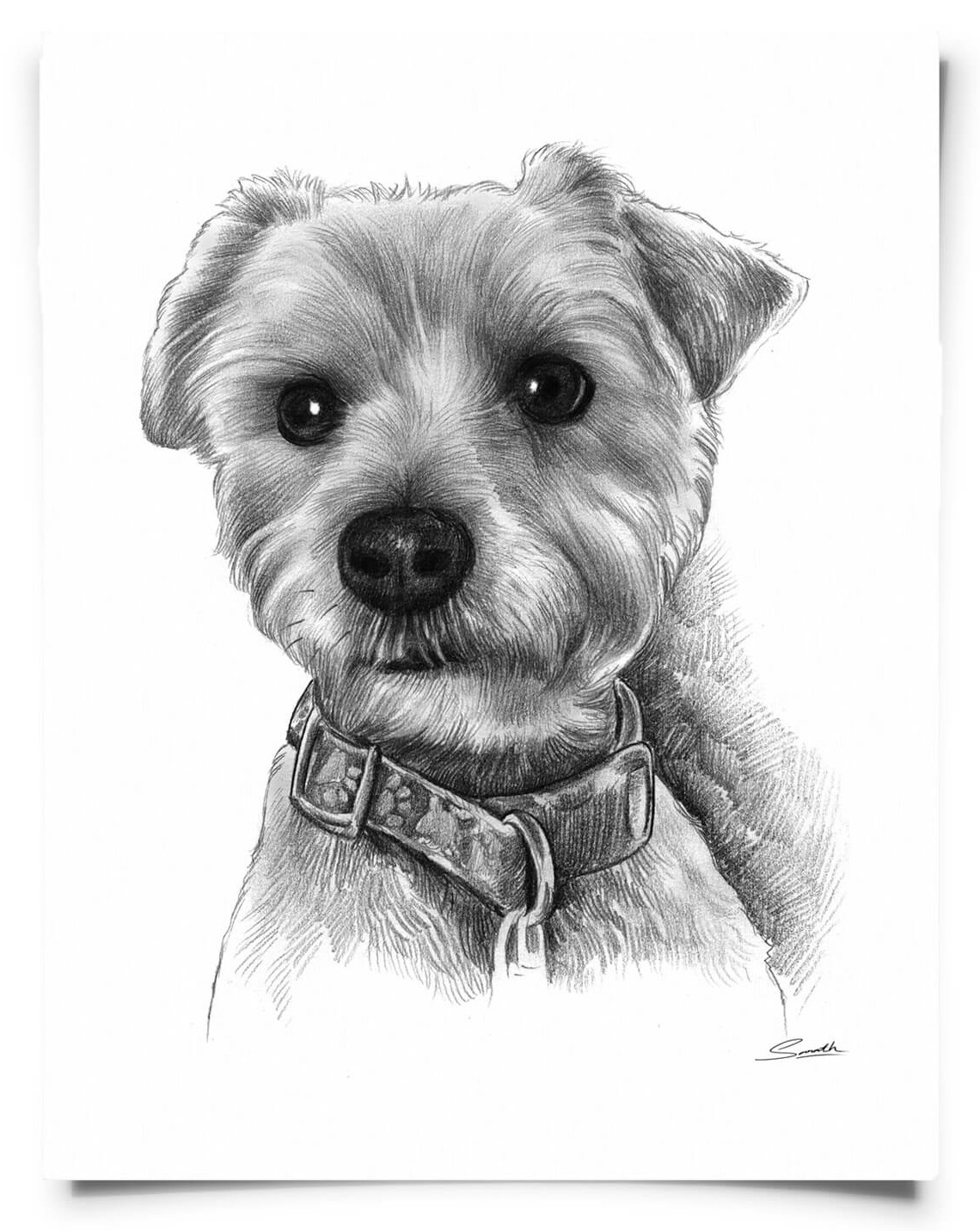 paper portrait dog
